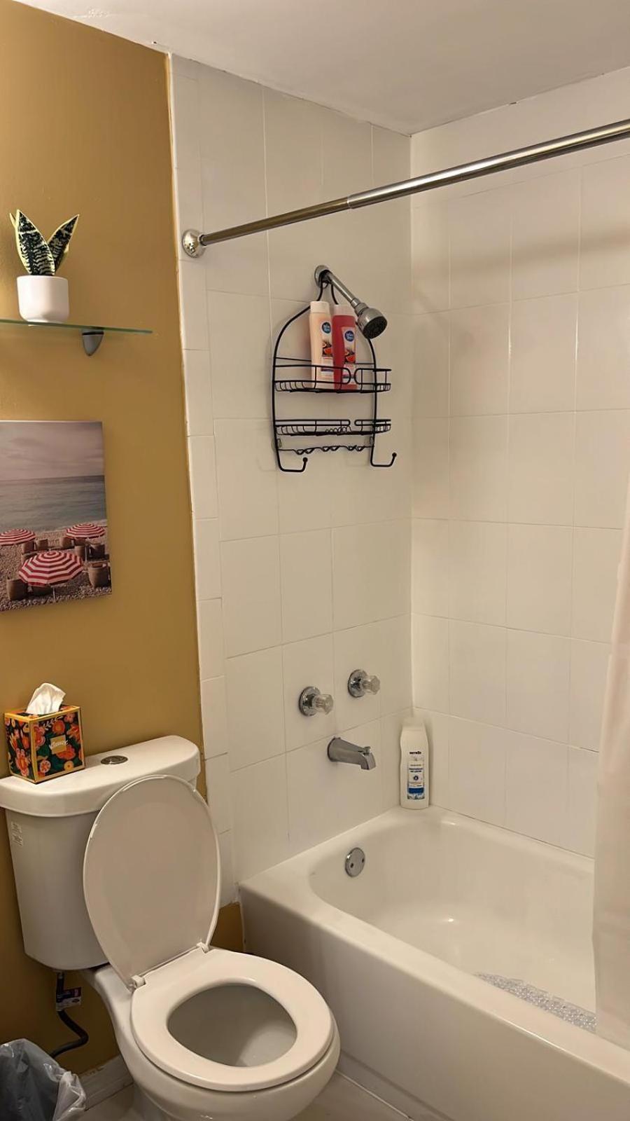 Willa Beautiful, Fully Furnished 4Bed 2Bath House - 5 Minute Walk To Miracle Mile Downtown Coral Gables Miami Zewnętrze zdjęcie